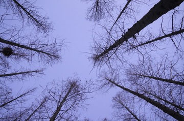4726240