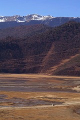 路