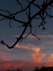 428D9469-FEF2-483A-AC3D-F7D8E817570F/L0/001