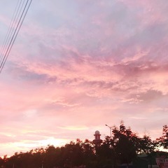 379020F4-2FE9-4087-A1AC-5848DDB7248F/L0/001