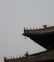 CCE8984C-3C1A-4CAC-BCE2-A3E189ED7DCE/L0/001