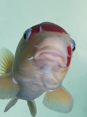 2013531