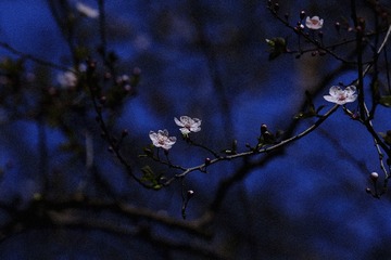 9BE4E024-71B8-4058-AE6A-2D9A8F7644A1/L0/001