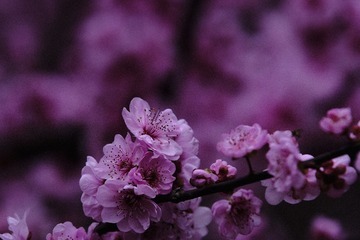 F77094D0-2E8B-41EF-9938-72C94952BDAD/L0/001