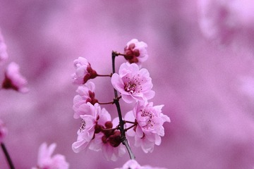 B59CA5A4-076C-4FFF-A8F9-F946161CF341/L0/001