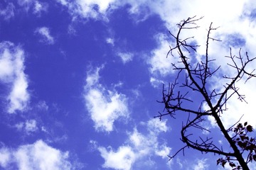 天空