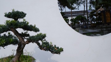 7BDEA521-D9F8-4E0A-A6D0-86A17176C3CF/L0/001