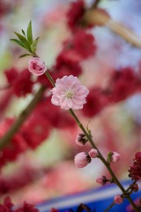 E79259A9-3CF7-4E2A-802C-2AF226705D97/L0/001