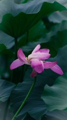 F03B1692-F00B-43BF-944E-9537CD477EB4/L0/001