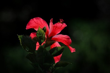 7C3A5DFD-0145-419E-AB45-244CBEB27631/L0/001