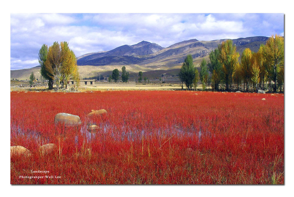 红草滩 br /> 稻城红草滩