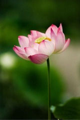 IMG_3102