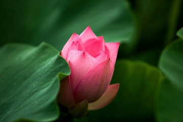 IMG_3124
