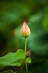 IMG_3127