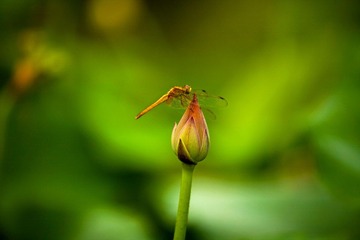 IMG_3133