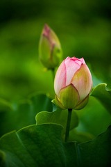 IMG_3158