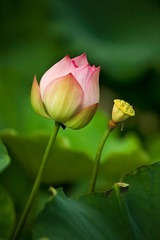 IMG_3170