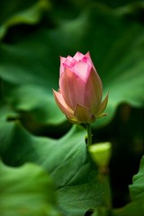 IMG_3173