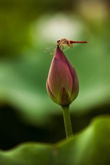IMG_3187