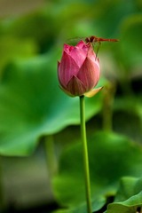 IMG_3189