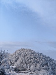 1000040840