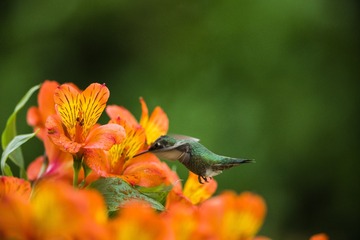 A7082059-27F3-4849-81F3-6BFEEB2E9044/L0/001