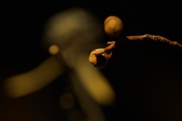 630888