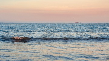 54A08F98-03B7-455D-9B8D-3514BFCDB377/L0/001