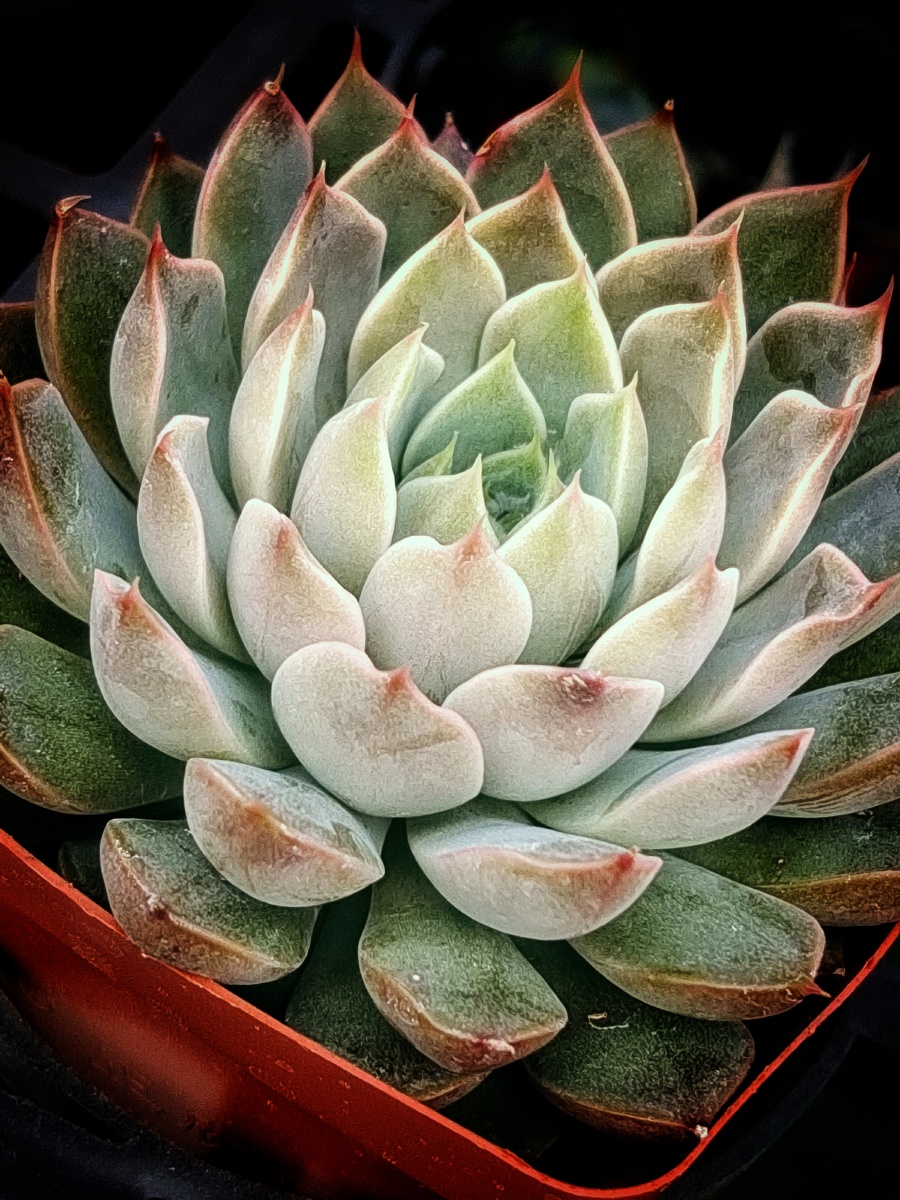 海琳娜 - 李贵发703 - 图虫