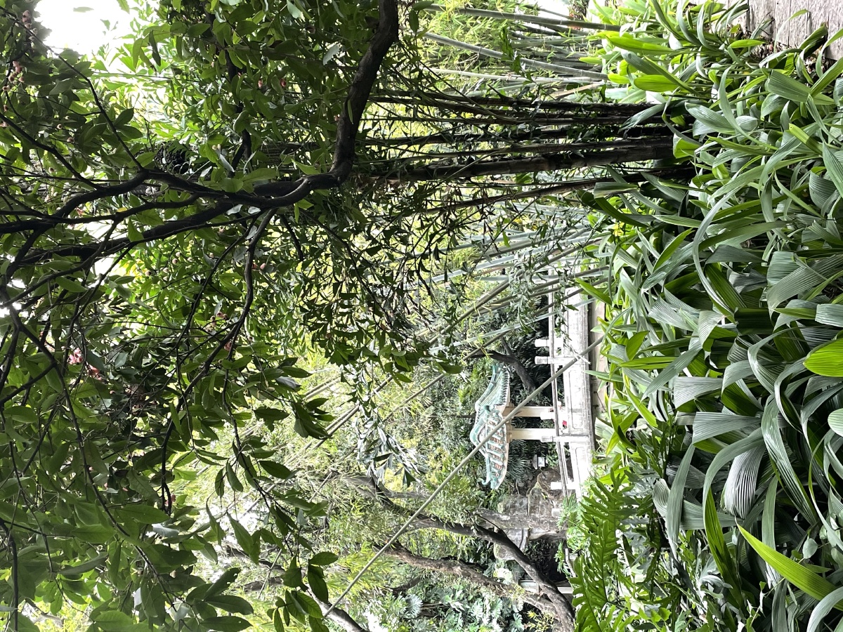 广州.兰圃.一个很小众的小公园,没有兰花也一样很美无滤镜原图直出哦~