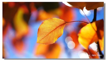 _YUN9272_900.jpg