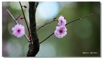 _TEN1708_1200.jpg
