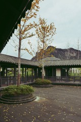 40DCE02C-30BB-44C0-A570-B9C685BE8F56/L0/001