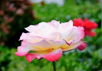 A99767A8-4407-4F50-BB0B-014BE6E8FD57/L0/001