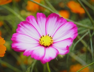 B50B0E52-7087-4FB8-81BD-34A836819D53/L0/001
