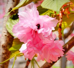 8D0C9ED5-03AC-41A7-9DF5-8D13417C1004/L0/001