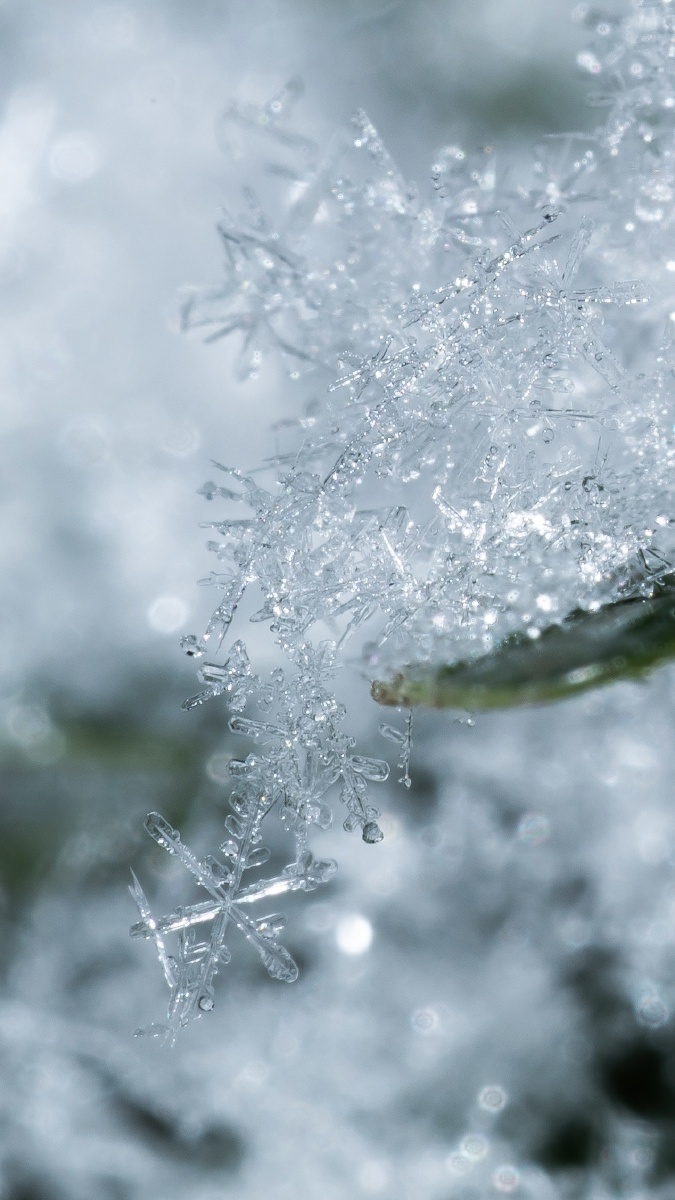 难得的冬季雪花76晶莹剔透的六边形