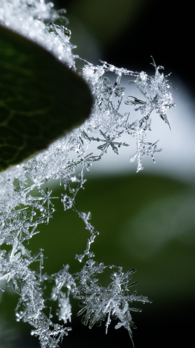 难得的冬季雪花76晶莹剔透的六边形