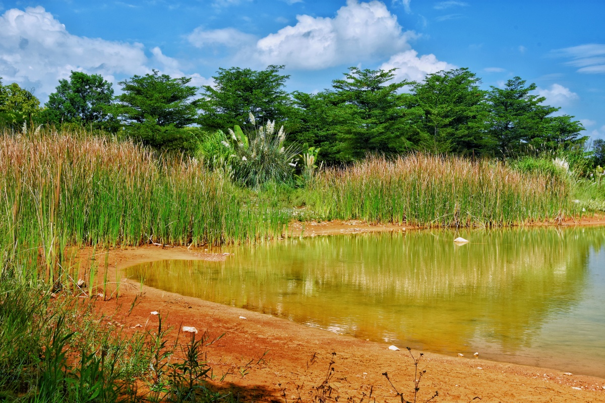处处即是景一摄于云南省红河州蒙自市滇南绿洲生态园