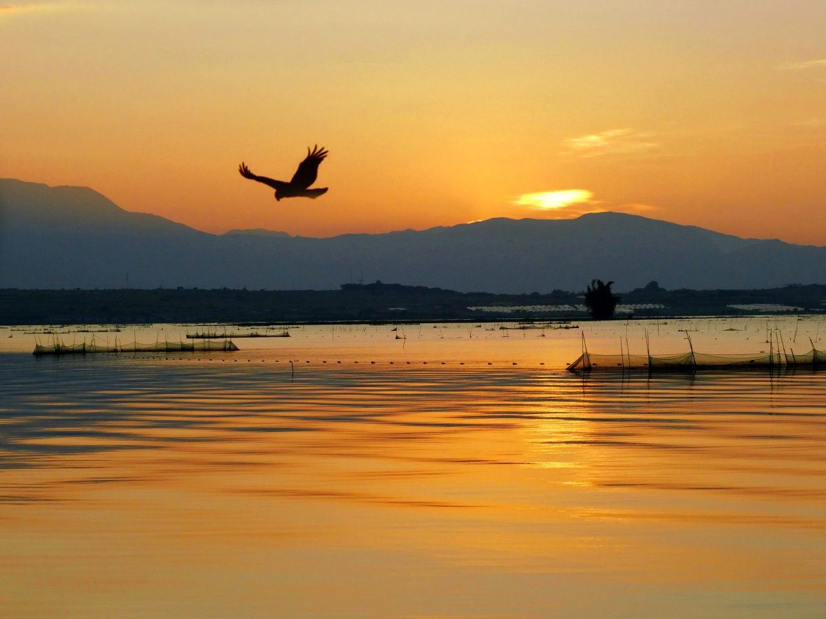 落日余晖,手机拍摄于云南红河蒙自长桥海