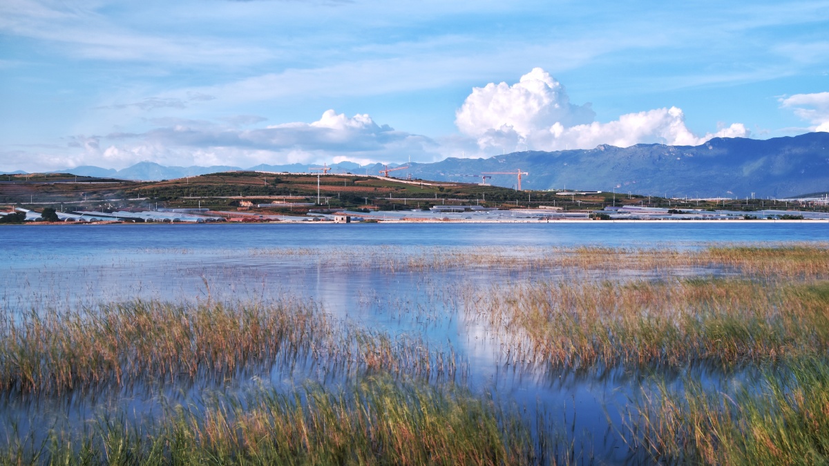 云南红河蒙自长桥海秋日风光(3)