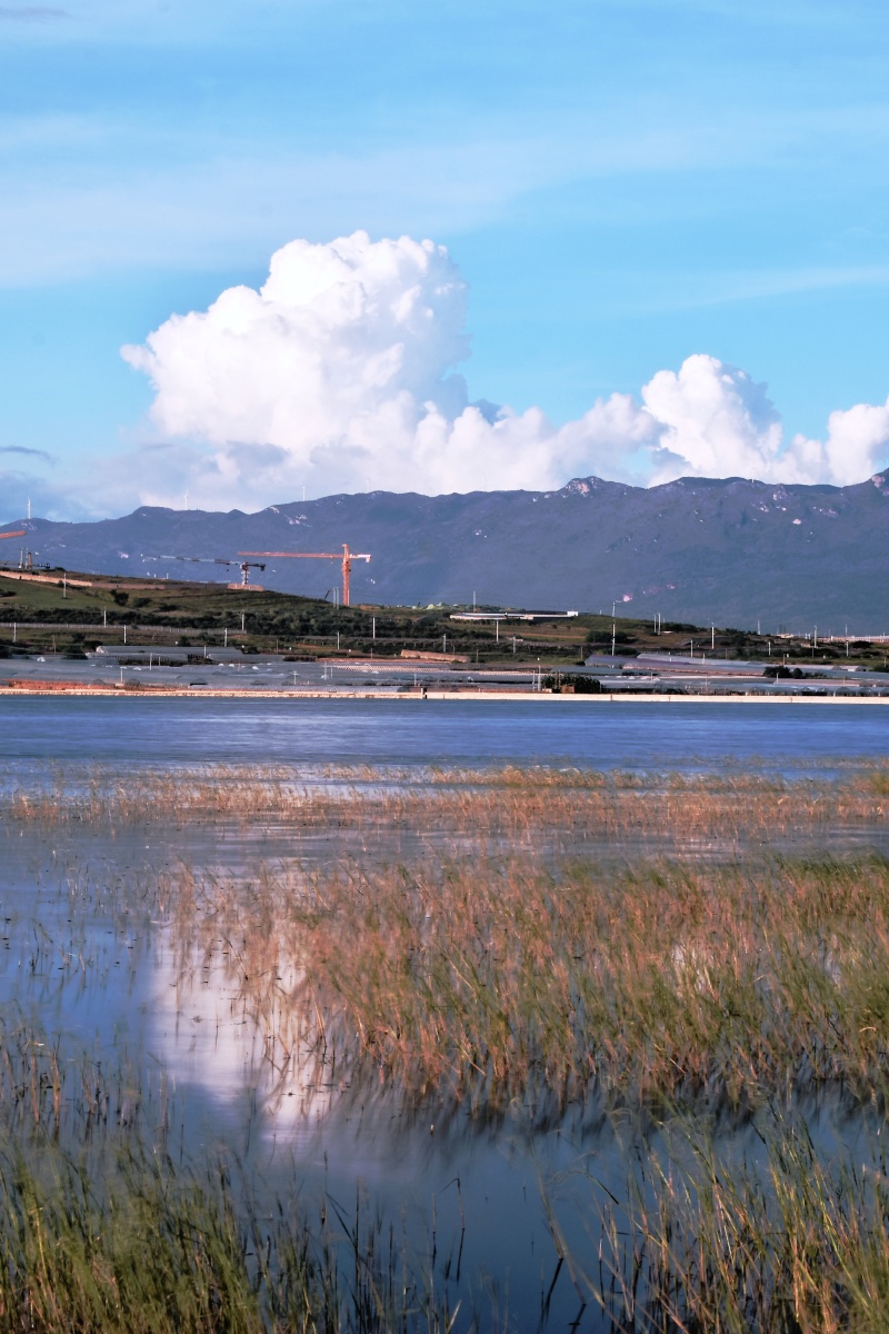 云南红河蒙自长桥海秋日风光5