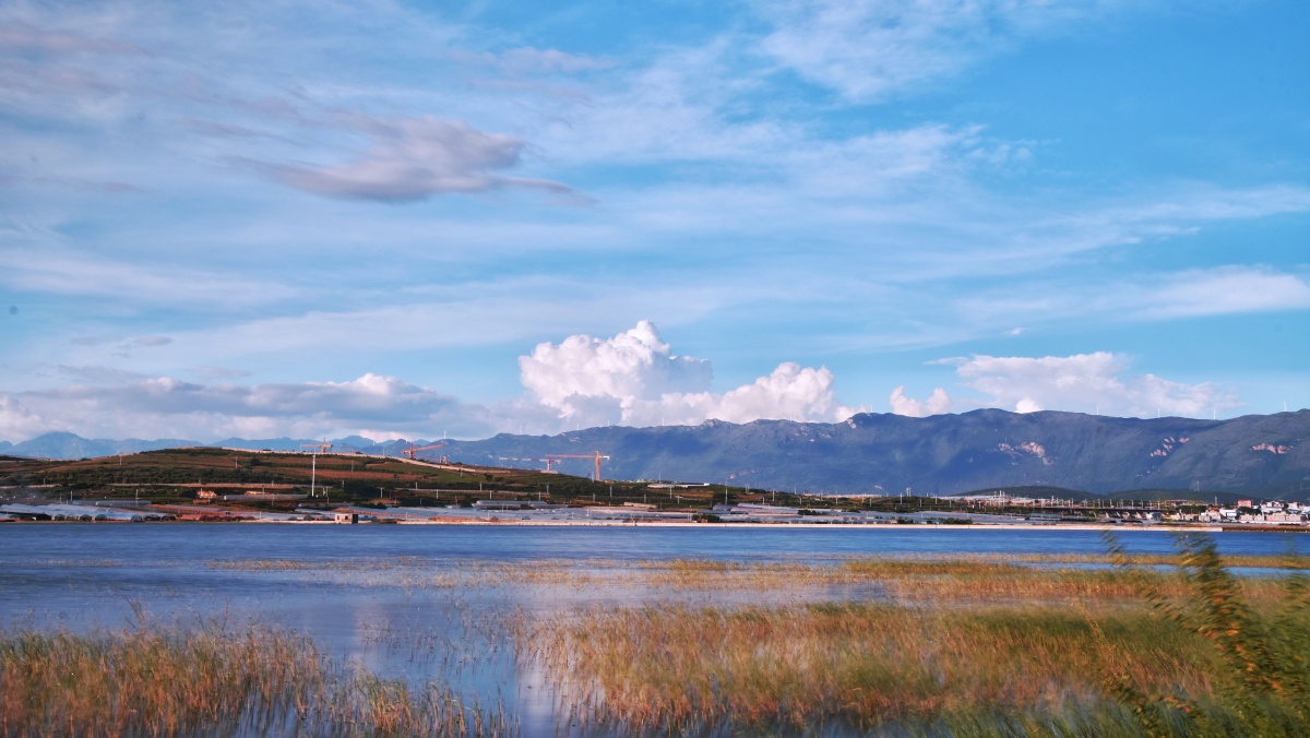 云南红河蒙自长桥海秋日风光(3)