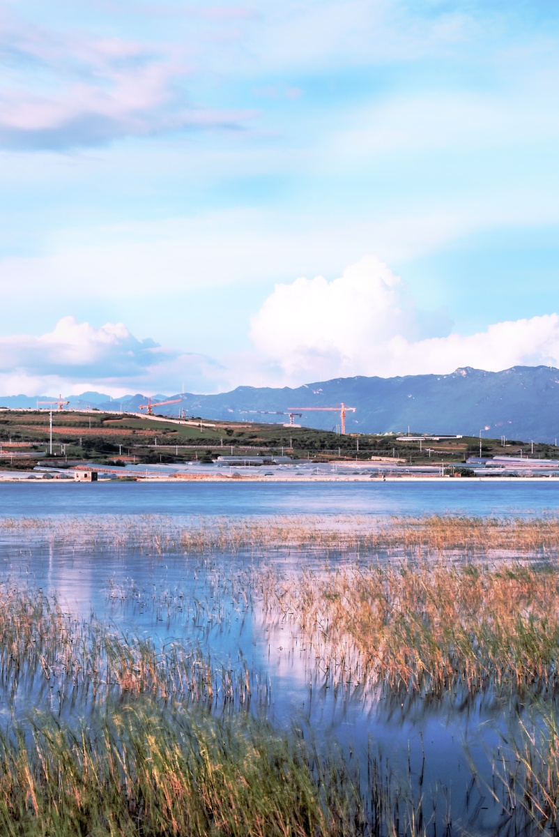 云南红河蒙自长桥海秋日风光4