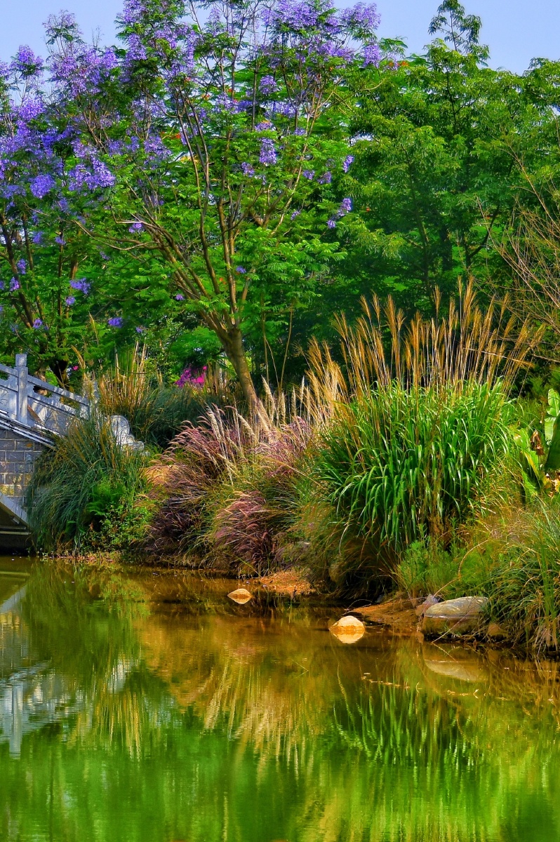 神奇的倒影世界,摄于云南省红河州蒙自市滇南绿洲生态园
