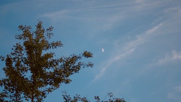 83919632-8C0A-4D2E-9333-2FA58C426D5C/L0/001