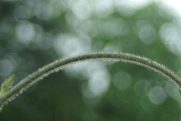 8BF73F4E-77C1-4951-B119-A6C664B67719/L0/001