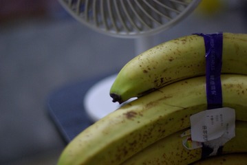 01E435E8-5C79-4092-805A-BA9A53C88209/L0/001