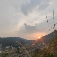 1000023619