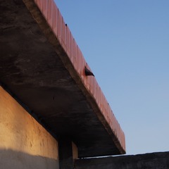 B56FFE78-9E95-4638-9093-E1FBEB05090B/L0/001